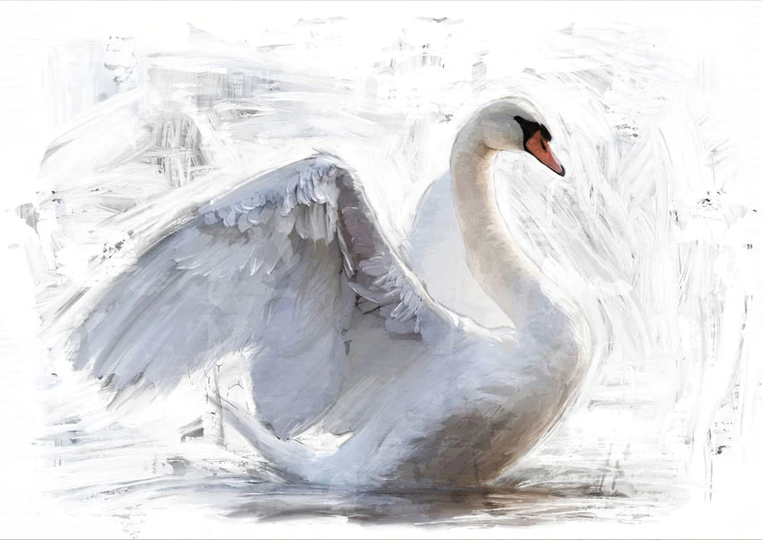 MINT dekupaaźipaber White Swan, suurus A3, paremale vaatega